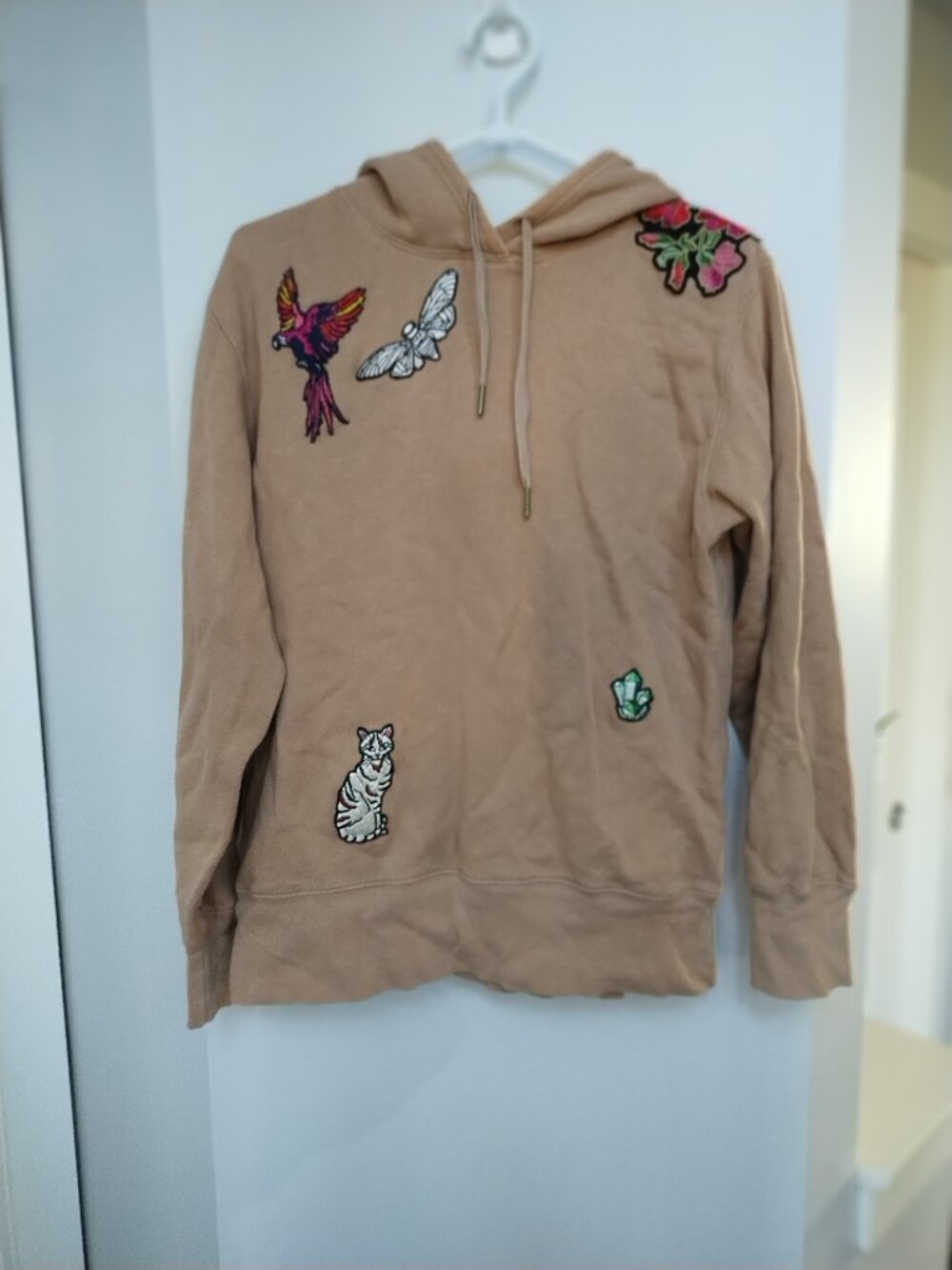 Oversized Little Moon hoodie from Aritzia